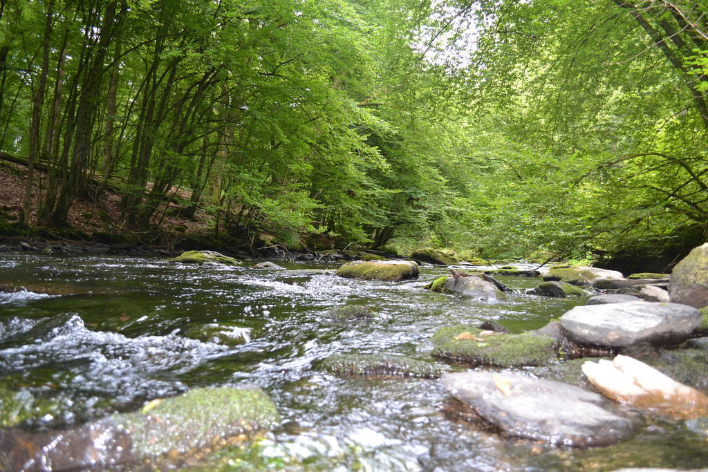 Gite La Clef Des Champs Libin ภายนอก รูปภาพ