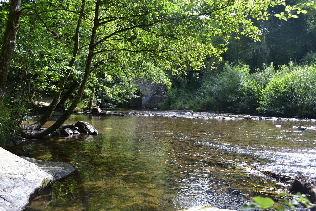 Gite La Clef Des Champs Libin ภายนอก รูปภาพ