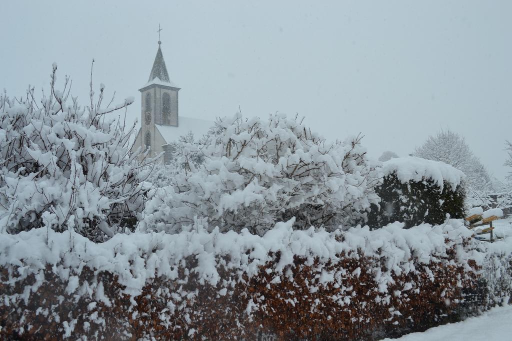 Gite La Clef Des Champs Libin ภายนอก รูปภาพ